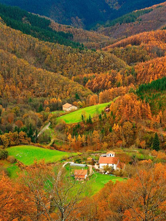 Hostal Jai Alai Leitza  Exteriér fotografie