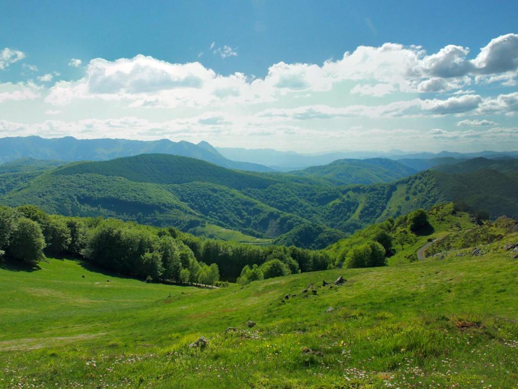 Hostal Jai Alai Leitza  Exteriér fotografie